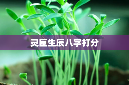 灵匣生辰八字打分第1张-安香科技