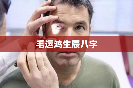 毛运鸿生辰八字