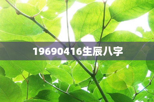 19690416生辰八字第1张-安香科技