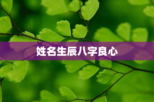 姓名生辰八字良心第1张-安香科技