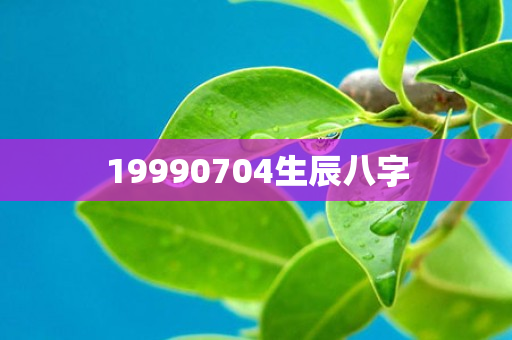 19990704生辰八字第1张-安香科技