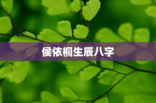 侯依桐生辰八字第1张-安香科技