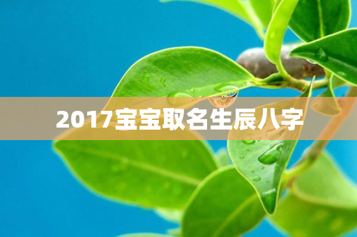 2017宝宝取名生辰八字