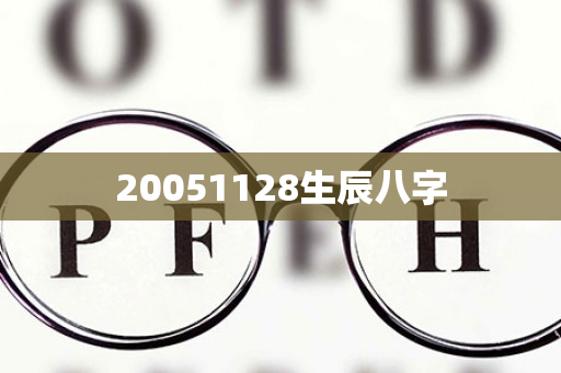 20051128生辰八字