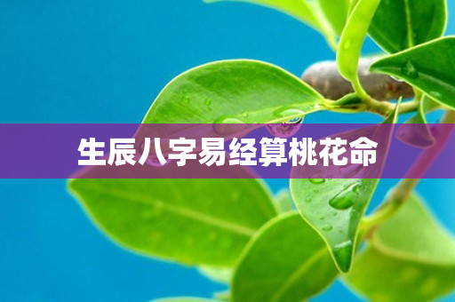 生辰八字易经算桃花命第1张-安香科技